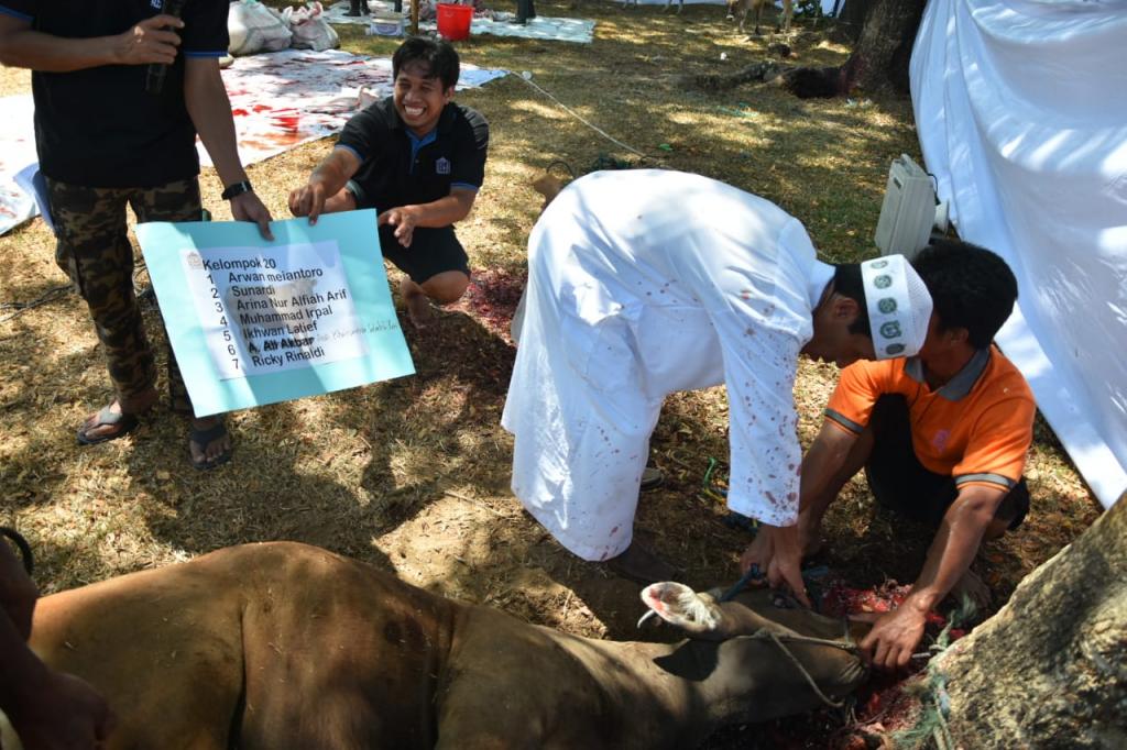 Pemotong Kurban tengah melaksanakan sembelih