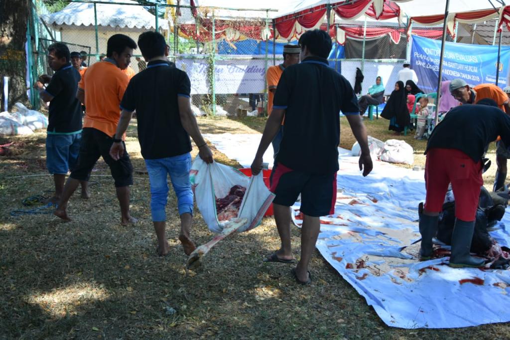 Petugas kurban m,engangkut daging kurban