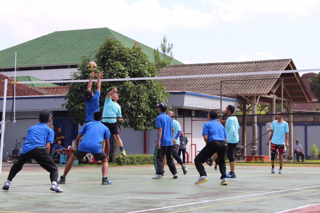 Perlombaan Bola Voli